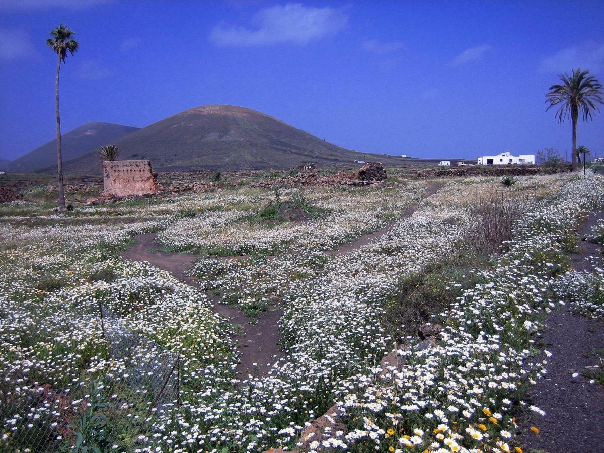 Vakantiehuis Castillo Lanzarote Winni - Luxury - Pet Friendly With Heated Pool *