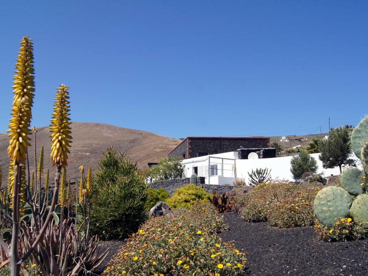 Vakantiehuis Castillo Lanzarote Winni - Luxury - Pet Friendly With Heated Pool *