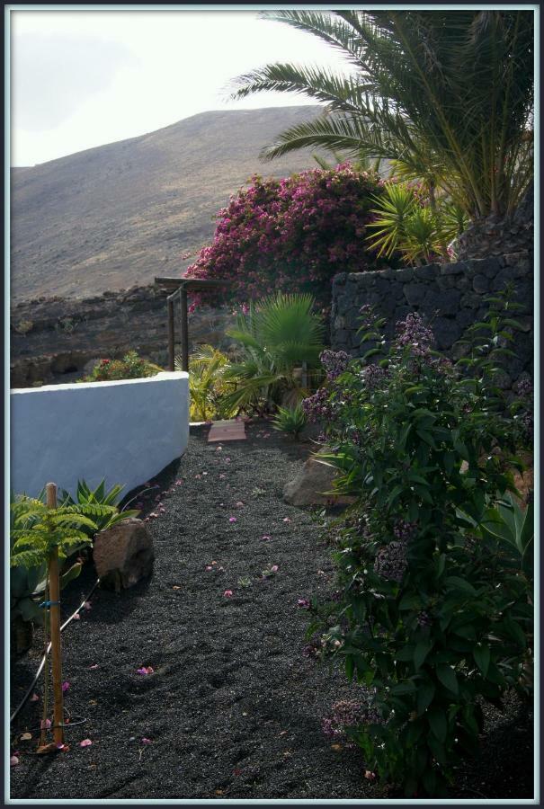 Vakantiehuis Castillo Lanzarote Winni - Luxury - Pet Friendly With Heated Pool *