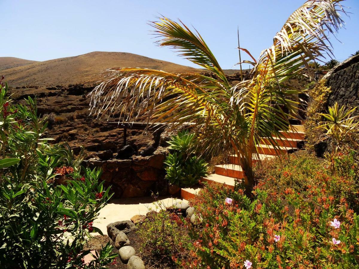 Vakantiehuis Castillo Lanzarote Winni - Luxury - Pet Friendly With Heated Pool *